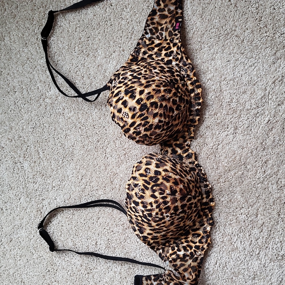 Leopard Print Bra - image 1